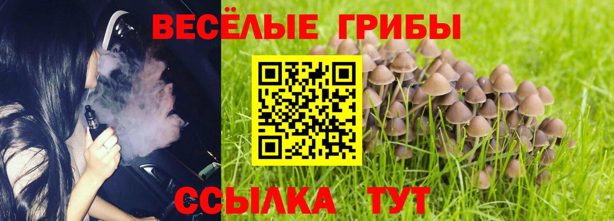 Галлюциногенные грибы ЛСД  Вход с VPN  Ипатово  Псилоцибиновые грибы GOLDEN TEACHER 